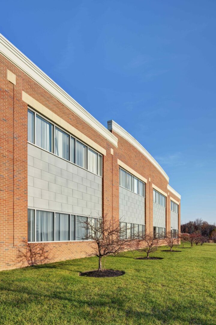 A building with windows and a tree in front of it.