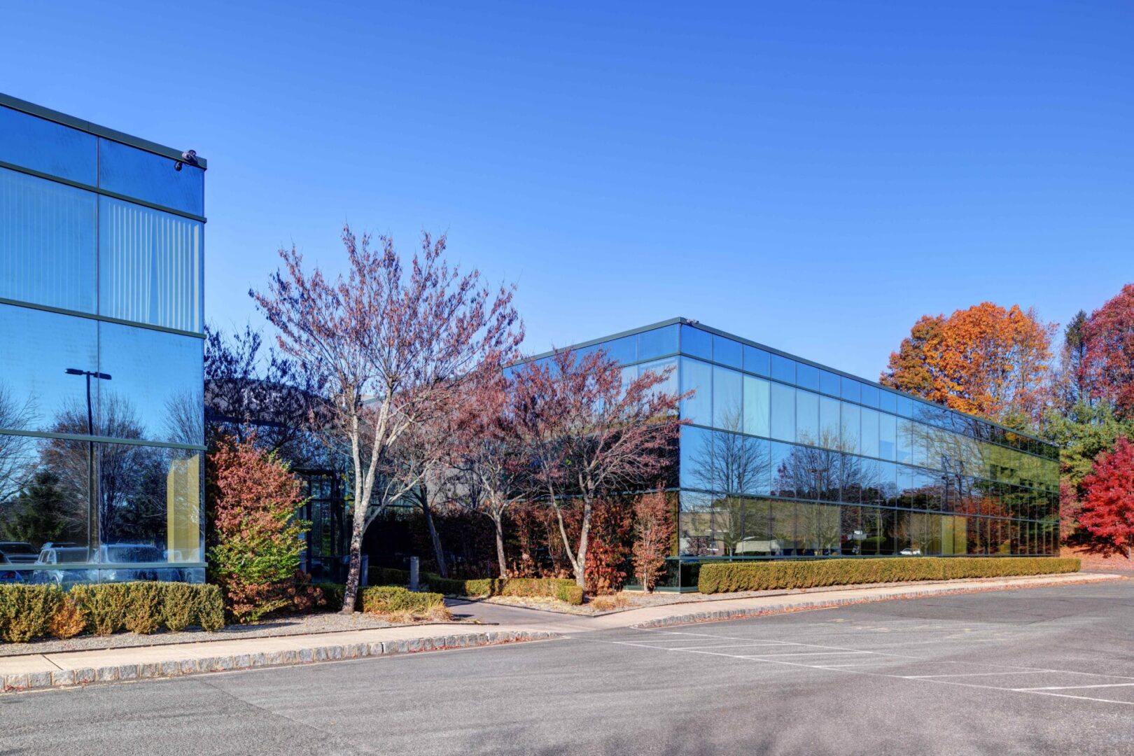 A building with trees and bushes in front of it